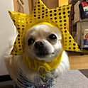 yasumaro