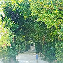 kotamama
