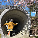 kana