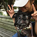 pugholic