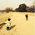 masami