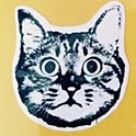 neko4053