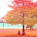 RSY