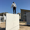 haruki
