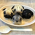 pugpug