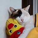 machan