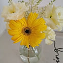 ffsmall12