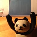 pandy