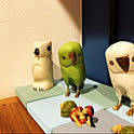 HideOnu