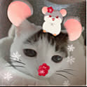 Chieko