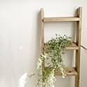 littleforest