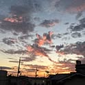 aporo0529