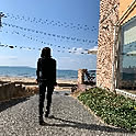 sato