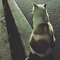 am.