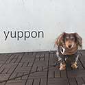 yuppon