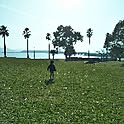 natamin