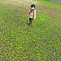 kazuo