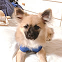 yuko