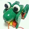 frog_0101