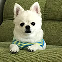 aki