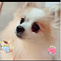 ellyputih