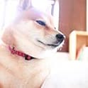Naoki