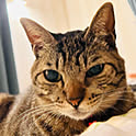 Eleonor_Tom