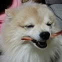 Gaooo