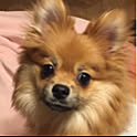 nana