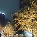 yoon