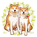 akitainu7