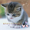 tunami