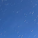 tanpopo