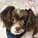 yasuko.reon08170420