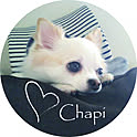 chapi