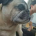 yukko.hassi