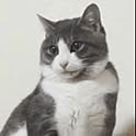 kokuri