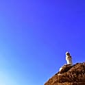 oshirikajirimushi