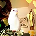 kiki