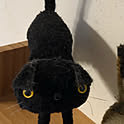 sudapon163