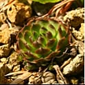 akakou88629