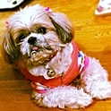 toffee-