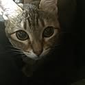 jiji0515