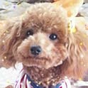 Yuka
