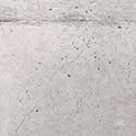roomno.7.