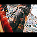 tkd_maiko