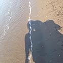 A.r