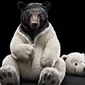 kuma