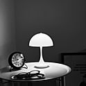 nn-home