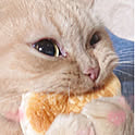 nonki